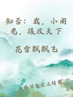 知否：我，小阁老，摄政天下