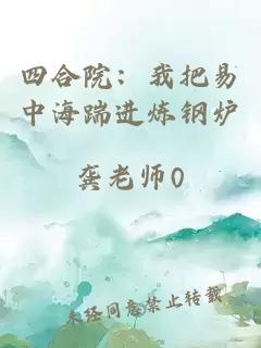 四合院：我把易中海踹进炼钢炉